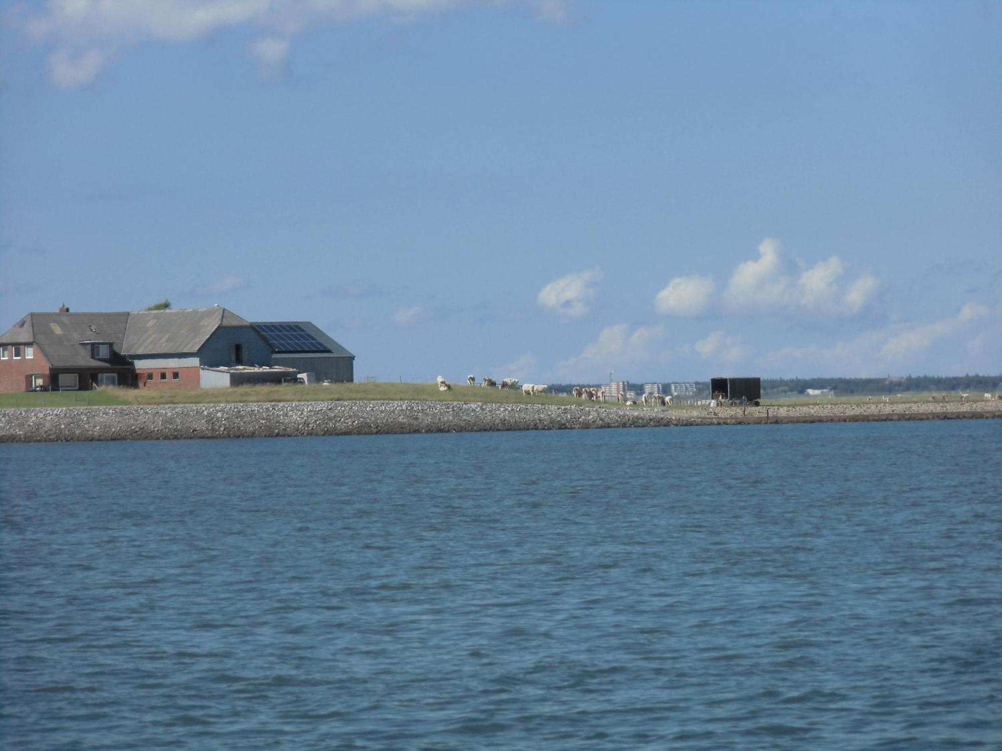 Friesenhaus Am Meer 다게불 외부 사진